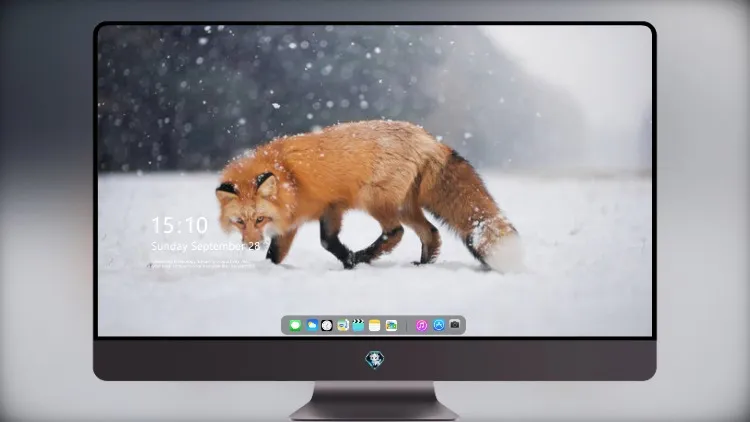 
雪中的野狐