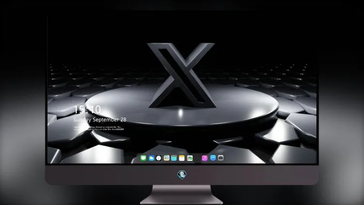 
X标志